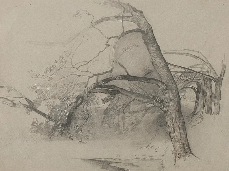 1886-Rene Ernest Huet - Attraverso il bosco